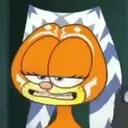 garfsokayikes