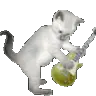 cat_band_guitar