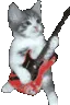 cat_band_shred