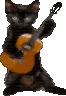 cat_band_acoustic