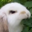 e_bunyangy e_bunyangy
