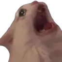 AAAAAAAAAAAAAAAA AAAAAAAAAAAAAAAA
