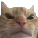 swagangry