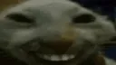radiXD