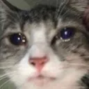 cryign