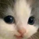 hehe hehe