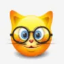 nerdkitty