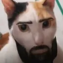 chadcat Discord Emoji