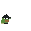 ppHop