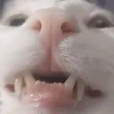 LeroyHappier
