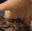 z_catsquish Discord Emoji