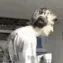 xqcWot xqcWot