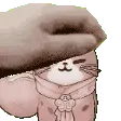 petthegato petthegato