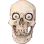 skullshock