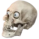 skullshock