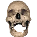 skully