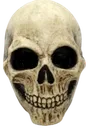 skullii