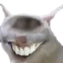 DXD DXD