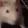 1RatJAM