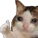 ok Discord emoji