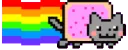 X_nyancat