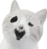 nekocursed Discord Emoji