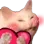 gCattoheart Discord Emoji