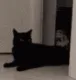 yoink