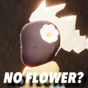 NoFlower
