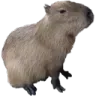 xdxd