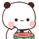 RSCutePandaMelonNom