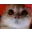 Ragey Ragey