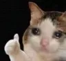 cat_likecry