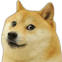 Funnydog Discord Emoji