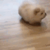 DW_fluffywalkingdoge Discord emoji