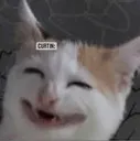curtinthecatgrin Discord Emoji