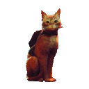 Stray_CatBounce Discord Emoji
