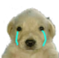 perritounu Discord emoji