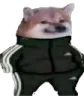 dogtripoloski