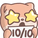 shiba_10outof10