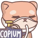 shiba_copium
