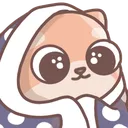 shiba_cozy