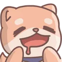 shiba_yum