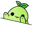 bongoKo