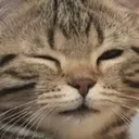 saku_wink saku_wink