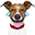 Dog Funny Discord Emoji