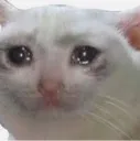 help help