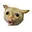 Cat4 cat4 Discord Emoji