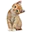Cat5 cat5 Discord Emoji