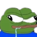 StupidPeepo StupidPeepo